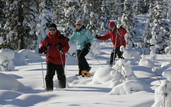 Karemajat Cottage Resort Ylitornio Екстер'єр фото